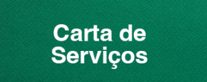 CARTA DE SERVICOS copiar